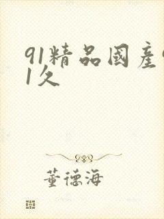 91精品国产91久