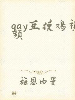 gay互摸鸡视频
