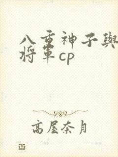 八重神子与雷电将军cp