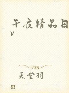 午夜精品日韩av