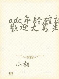 adc年龄确认欢迎大驾光临小说