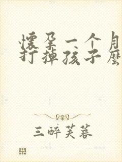 怀孕一个月可以打掉孩子么封面