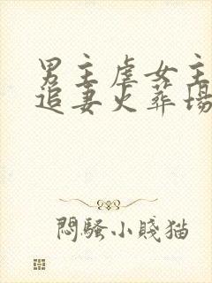 男主虐女主后期追妻火葬场的小说封面