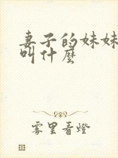 妻子的妹妹丈夫叫什么