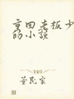 重回老板少年时的小说