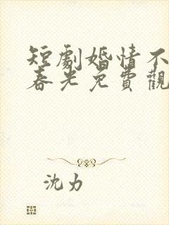 短剧婚情不负好春光免费观看