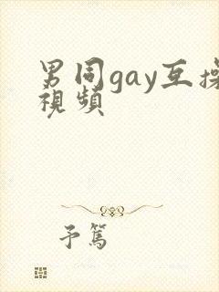男同gay互操视频