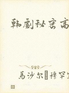 韩剧秘密高清封面