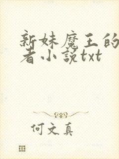 新妹魔王的契约者小说txt封面