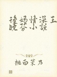 后妈情深王磊杨晓芬小说
