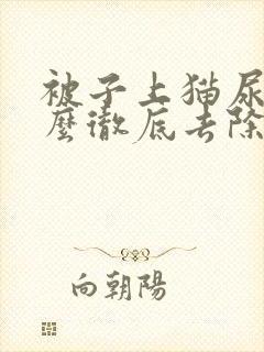 被子上猫尿味怎么彻底去除