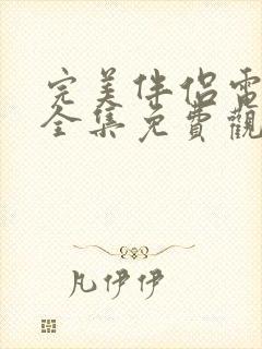 完美伴侣电视剧全集免费观看