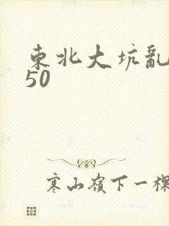 东北大坑乱1—50