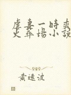 虐妻一时爽追妻火葬场小说