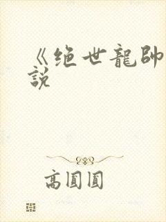 《绝世龙帅》小说