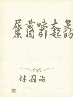 尿黄味大是什么原因引起的女封面