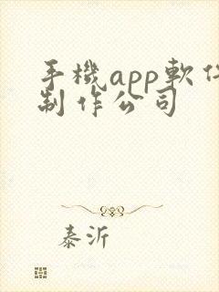 手机app软件制作公司