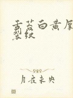 舌苔白黄厚腻有裂纹