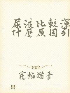 尿液比较浑浊是什么原因引起