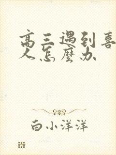 高三遇到喜欢的人怎么办封面