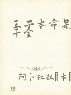 王子本命是恶奴千金封面