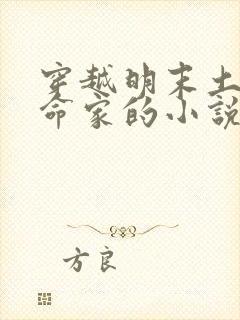 穿越明末土匪革命家的小说