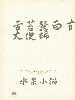 舌苔发白有齿痕大便稀