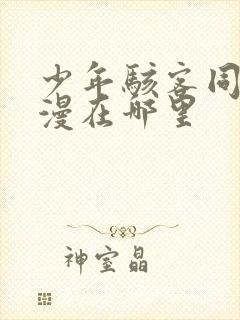 少年骇客同人动漫在哪里