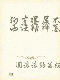 狗有眼屎不吃东西没精神怎么回事