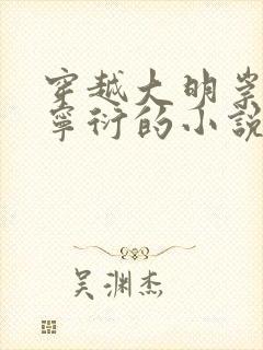 穿越大明崇祯朱宁衍的小说