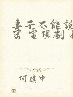 妻子不能说的秘密 电视剧 在线观看