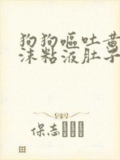 狗狗呕吐黄水泡沫粘液肚子咕噜响