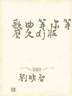 歌曲等你等了那么久dj版