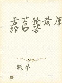 舌苔发黄厚腻口干口苦