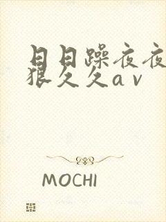 日日躁夜夜躁狠狠久久a v