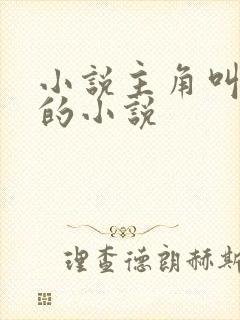 小说主角叫林霄的小说