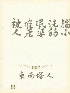 被催眠洗脑成别人老婆的小说