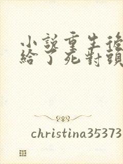 小说重生后我嫁给了死对头