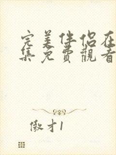 完美伴侣在线全集免费观看电视剧