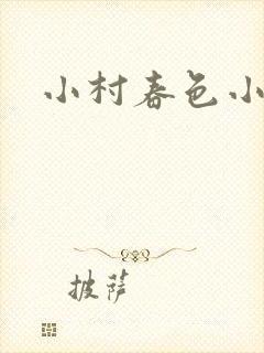 小村春色小说