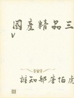 国产精品三级av