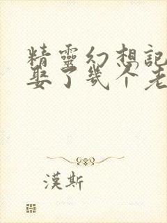 精灵幻想记原著娶了几个老婆