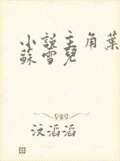 小说主角叶君临苏雪儿