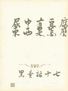 尿中有豆腐渣状东西是怎么回事