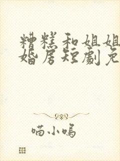 糟糕和姐姐走错婚房短剧免费观看