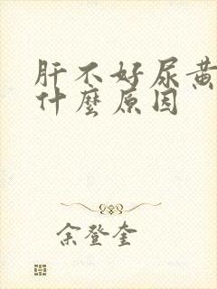 肝不好尿黄尿是什么原因封面