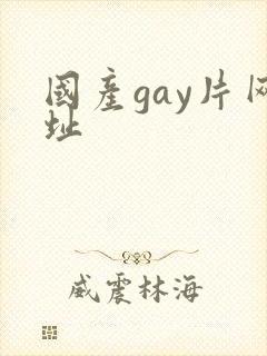 国产gay片网址封面