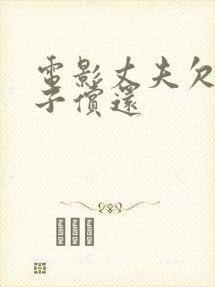 电影丈夫欠债妻子偿还封面