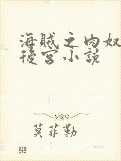 海贼之肉奴催眠后宫小说