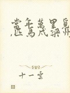 当年万里觅封侯,匹马戍梁州的意思封面